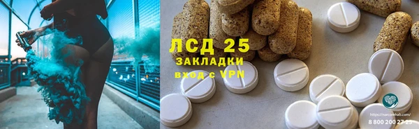 ГАЛЛЮЦИНОГЕННЫЕ ГРИБЫ Балахна