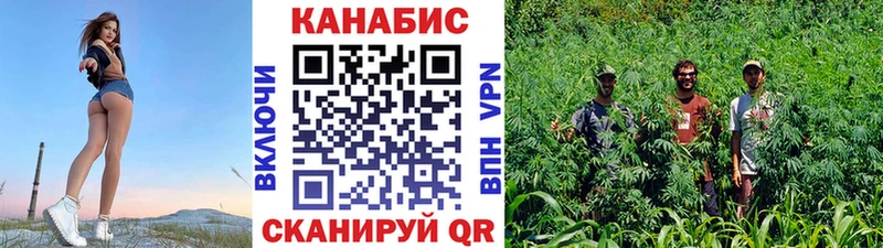 darknet Telegram цена Куса Марихуана Amnesia